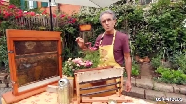Giornata delle Api, le iniziative di Coldiretti