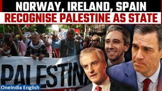 Israel Retaliates After Ireland, Norway, and Spain Recognize Palestine as a State | Israel-Palestine
