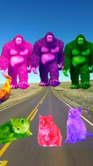 GTA 5 bigfoot to cat in gorilla action in attack save 