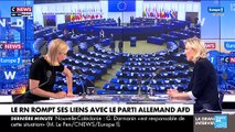 Allemagne : l'AfD sanctionne sa tête de liste aux Européennes