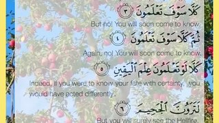 Recitation Of Qur'an..! Récitation du Coran..! #ViralReciting #recitationcoran #respect #family #AlShaikhAbdulAziz #recitation_du_coran_et_doua #islam #foryoupage