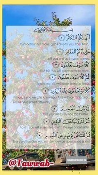 Recitation Of Qur'an..! Récitation du Coran..! #ViralReciting #recitationcoran #respect #family #AlShaikhAbdulAziz #recitation_du_coran_et_doua #islam #foryoupage