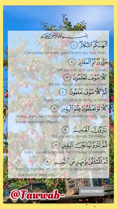 Recitation Of Qur'an..! Récitation du Coran..! #ViralReciting #recitationcoran #respect #family #AlShaikhAbdulAziz #recitation_du_coran_et_doua #islam #foryoupage