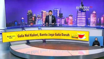 Mobil Selebgram Zoe Masuk Jalur Busway, Polisi Kenakan Tilang