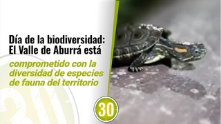 Día de la biodiversidad El Valle de Aburrá se comprometen con la diversidad de especies de fauna que habitan el territorio