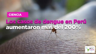 Los casos de dengue en Perú aumentaron más del 200%