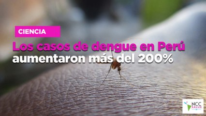 Los casos de dengue en Perú aumentaron más del 200%