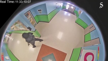 美 유밸디 총기 난사 유족들, 게임 업체 상대로 소송 / YTN