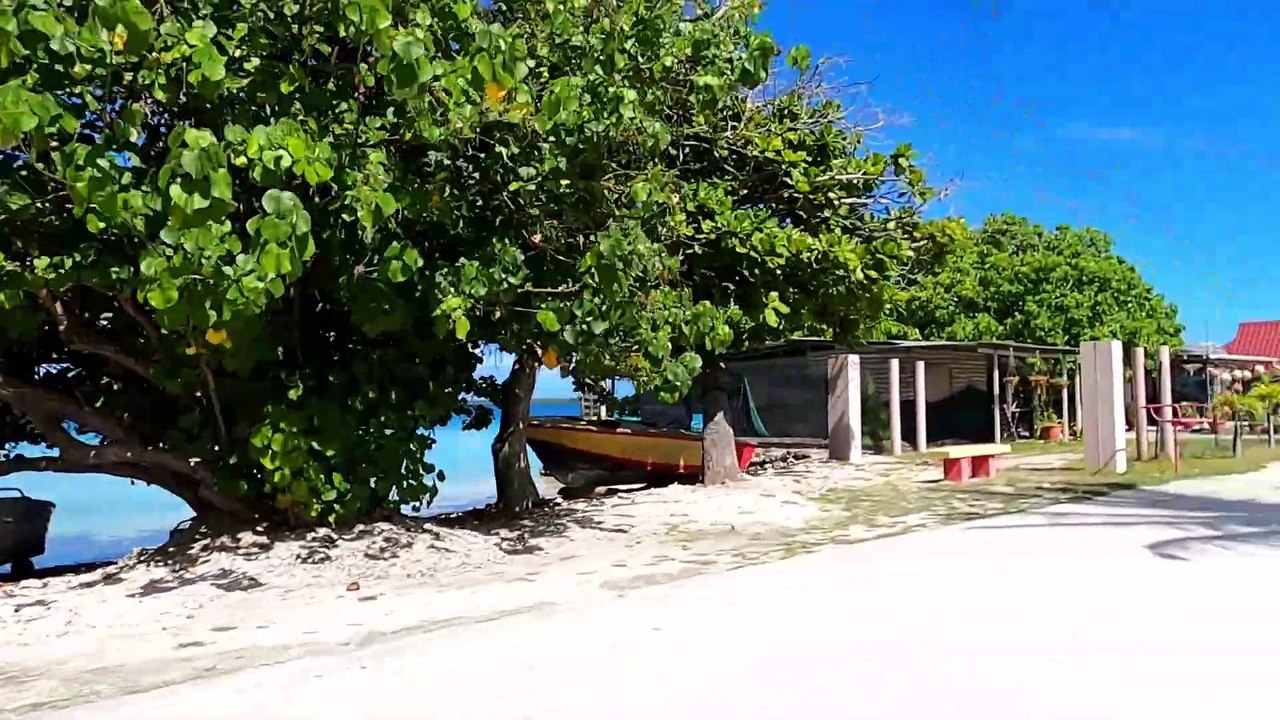 ile de fakarava tuamotu.movie