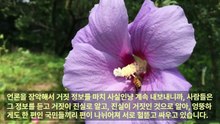 자유 대한민국 국민으로 살자 - 김미자_