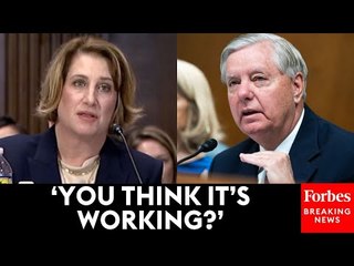 'That's Not The Question': Lindsey Graham Asks Pharma Rep About Patent Abuse