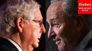 Chuck Schumer Urges GOP To Vote For Bipartisan Border Bill: 'Leader McConnell Was Also Supportive'
