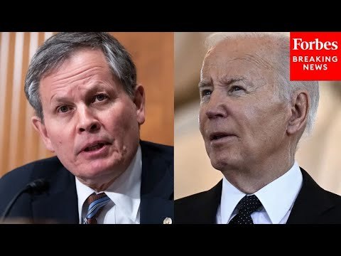 'Go Back And Watch The Replays': Steve Daines Calls Out Biden Over Policy Changes At The Border