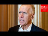 'Need To Stop Talking Past Each Other': Tillis Makes Impassioned Plea To Help Bring Down Drug Prices
