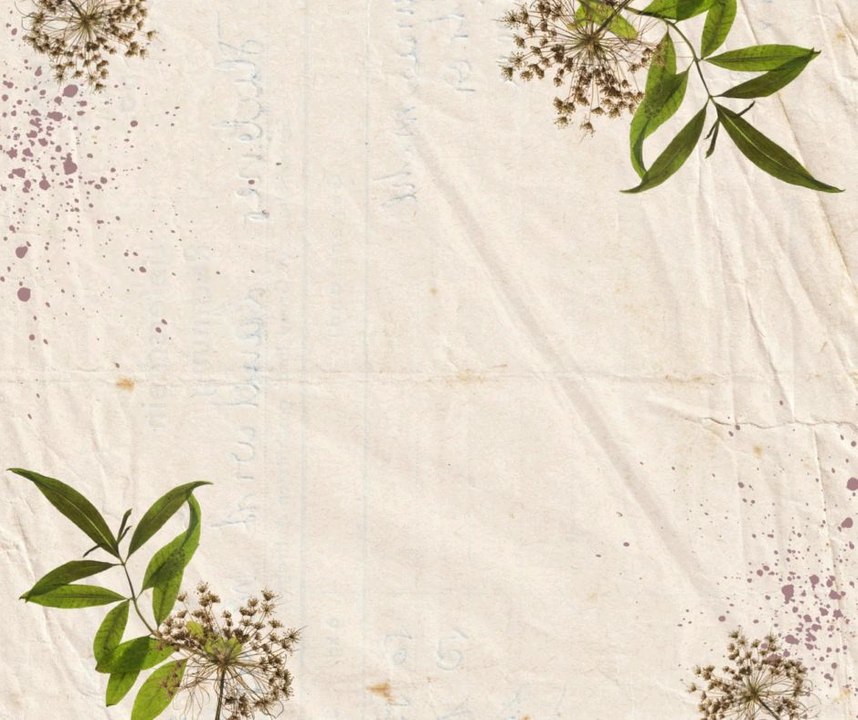 Family: Where life begins and Love Never ends. #trending #viral #love #shortvideo #family