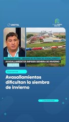 Avasallamientos dificultan la siembra de invierno
