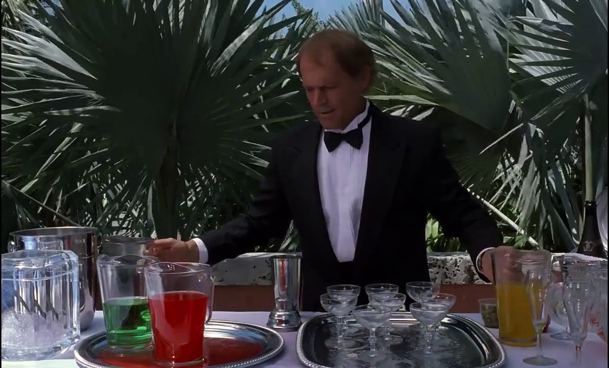 Zwei Fäuste für Miami (1997) stream deutsch anschauen