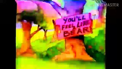 the Berenstain Bears First Time Video Volume 1 1988 VHS Low Pitched