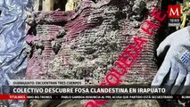 Colectivo encuentra fosa clandestina con al menos tres cuerpos en Irapuato