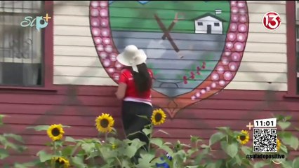 Pase en vivo - Escuela La Joya