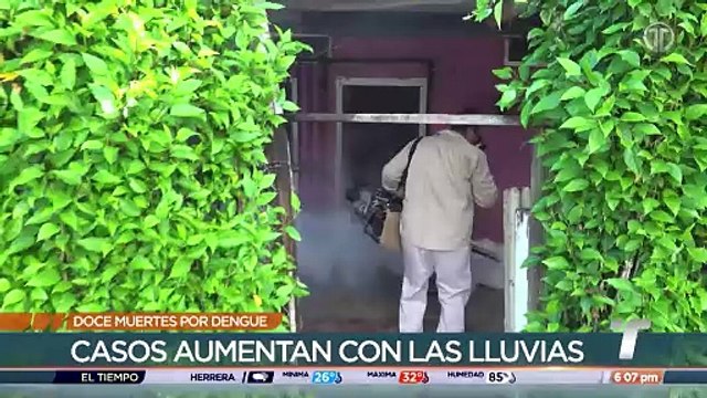 Casos de dengue siguen en aumento, se reportan 12 defunciones