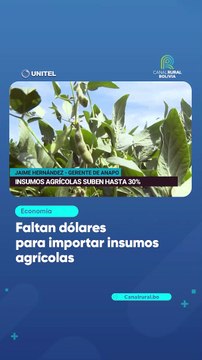 Faltan dólares para importar insumos agrícolas