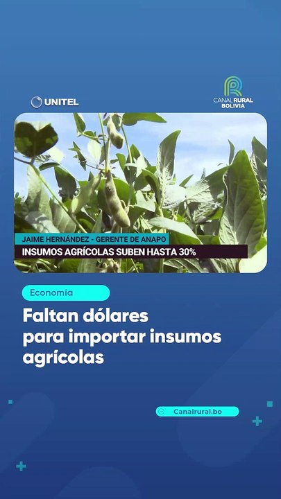 Faltan dólares para importar insumos agrícolas