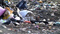 Colectivos exigen cambio al modelo de gestión de basura y sanear vertederos abandonados