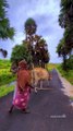 Villages of Kerala ❤️ Kollengod is one of the most beautiful village in kerala(720P_HD)