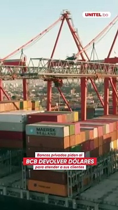 Asoban pide al BCB que le devuelva dólares entregados como garantía para que bancos atiendan demanda de divisas