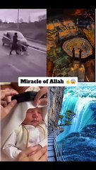 Allah hu Akbar #shorts#shortsvideo#viral#1millionsviews