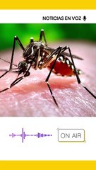 Resumen de noticias jueves 23 de mayo