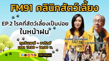 โรคที่สัตว์เลี้ยงเป็นบ่อยในหน้าฝน EP.2 : FM91 คลินิกสัตว์เลี้ยง : 19 พฤษภาคม 2567