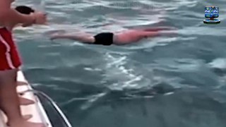 Shocking Moment Outrage after 'stupid' thrill-seeker, 50, is seen 'body slamming' a wild KILLER WHALE by belly flopping onto it from a boat off New Zealand