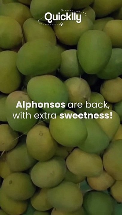 LOOKING FOR WHERE TO FIND ALPHONSO MANGOES