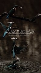Quran Al Kareem قرآن الكريم