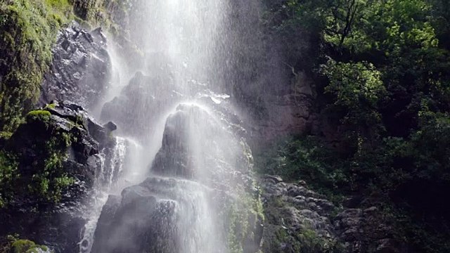 waterfall-in-forest-2213-full-hd