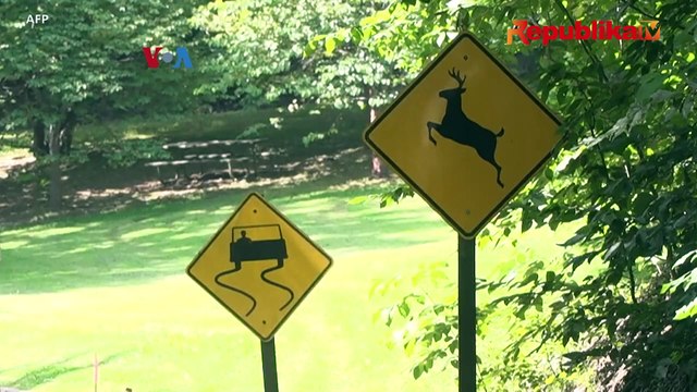 Overpopulasi Rusak Rusak Paru-Paru Kota, Kok Bisa?