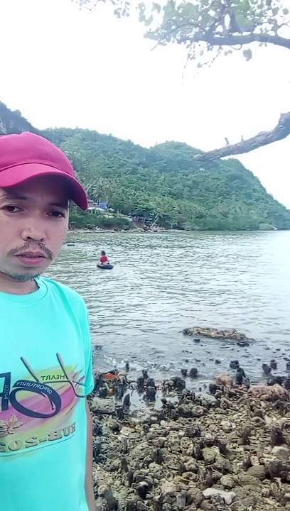 Beachside Serenity
