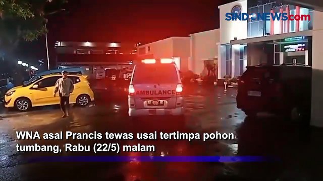 Angin Kencang, WNA Asal Prancis Tewas Tertimpa Pohon Tumbang di Padang Sumatera Barat