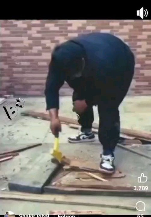 funny  video