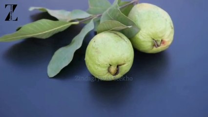 روزانہ ایک امرود کھانے کے یہ فائدے جانتے ہیں؟