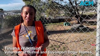 Tinisha Wilkinson - Dogs' Home Volunteer