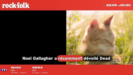 Noel Gallagher partage le nouveau titre captivant "Mort pour le monde