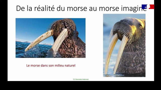 Retour aux Sources - Aux sources du symbole au Moyen Âge - De la banquise aux trésors d’église - 2/5 - Pierre BUREAU