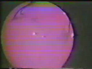 Hendrix Randalls Island part 2