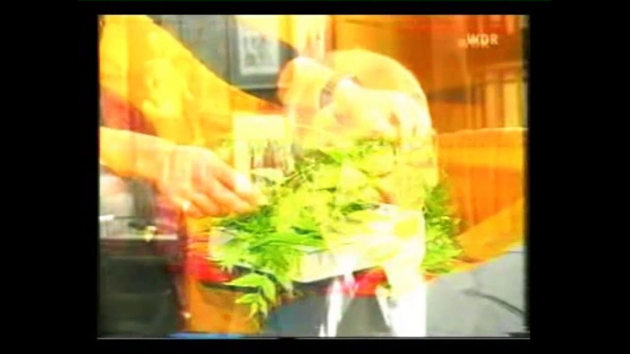 7059 Doro Rente und andere Lügen