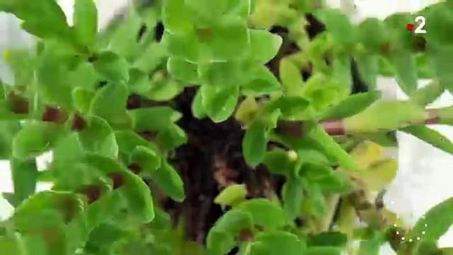 Thomas Sotto a pris l'antenne à 7h (au lieu de 6h30) ce jeudi 23 mai 2024 pour présenter Télématin dans des conditions particulières.