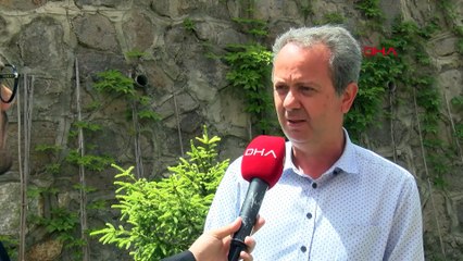 Ankara Savaşı kazılarında kılıç kesiği olan kemikler bulundu