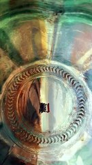 Tum Sab Chamcho Ki Biradari Ho--_._._._._.__madagascar3 _madagascar _madagascar2 _madagascarmovie _hollywood _hindidubbed _penguins _explore(MP4)